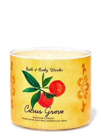 Citrus Grove / Büyük Mum