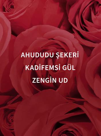Dark Velvet Oud / Işıltılı Vücut Spreyi