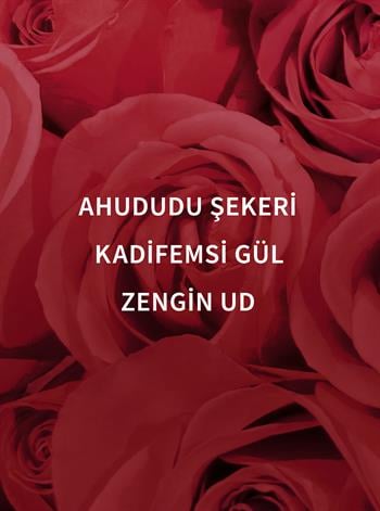 Dark Velvet Oud  / Seyahat Boyu Vücut Spreyi