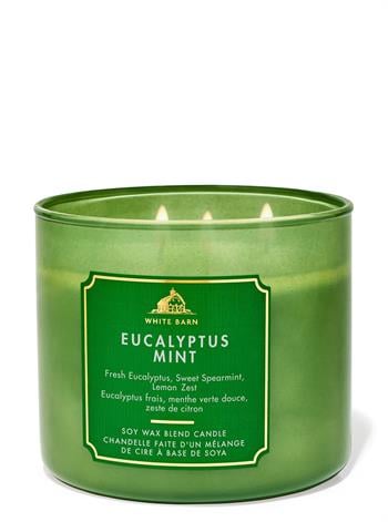 Eucalyptus Mint / Büyük Mum