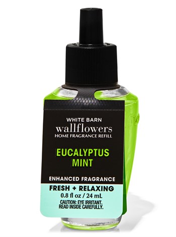 EUCALYPTUS MINT / ODA KOKUSU YEDEGİ