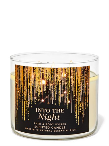 INTO THE NIGHT