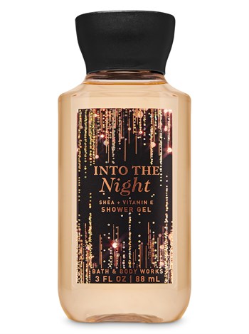 INTO THE NIGHT