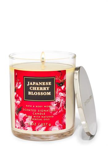 Japanese Cherry Blossom / Orta Boy Mum