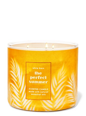 THE PERFECT SUMMER