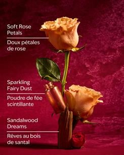 Aurora / Işıltılı Vücut Spreyi