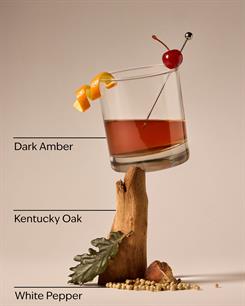 Bourbon / Parfümlü Erkek Kolonyası