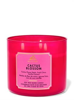 Cactus Blossom / Büyük Mum