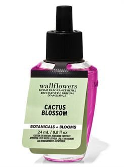 Cactus Blossom / Oda Kokusu Yedeği
