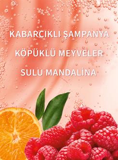 Champagne Toast / Shea İçeren Vücut Kremi