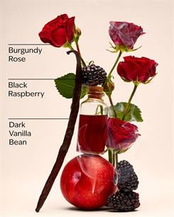 Dark Kiss / Seyahat Boy Vücut Spreyi