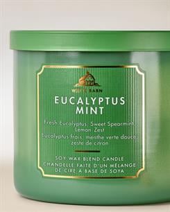 Eucalyptus Mint / Büyük Mum