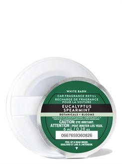 Eucalyptus Spearmint / Araba Kokusu Yedeği
