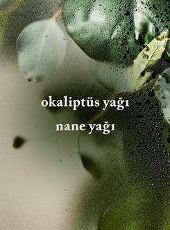 EUCALYPTUS SPEARMİNT