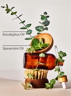 Eucalyptus Spearmint / Vücut Kremi