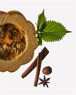 Farmhouse Pumpkin & Spice / Köpük Sabun