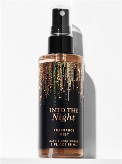 INTO THE NIGHT
