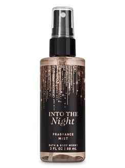 INTO THE NIGHT