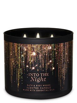 Into the Night