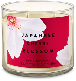 JAPANESE CHERRY BLOSSOM