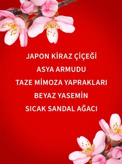 Japanese Cherry Blossom  / Banyo Köpüğü