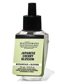 Japanese Cherry Blossom / Oda Kokusu Yedeği