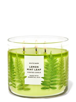 LEMON MINT LEAF