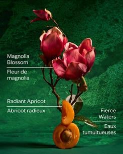 Mulan / Vücut Spreyi