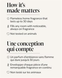 Ocean Town Bound / Oda Kokusu Yedeği