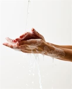 Pumpkin Pecan Waffles / Köpük Sabun