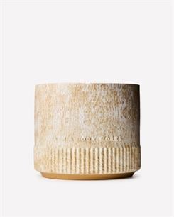 Santal + Amber / 4 Fitilli Büyük Mum