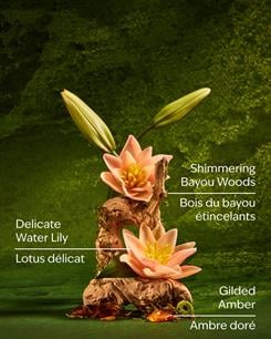 Tiana / Vücut Kremi