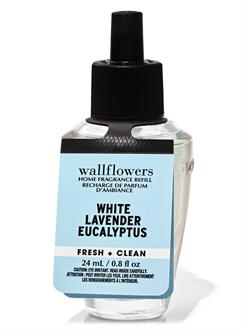 White Lavender Eucalyptus / Oda Kokusu Yedeği