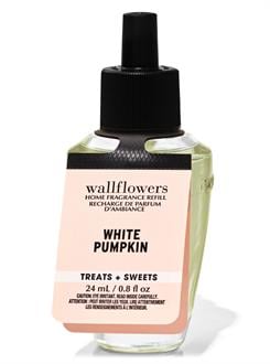 White Pumpkin / Oda Kokusu Yedeği