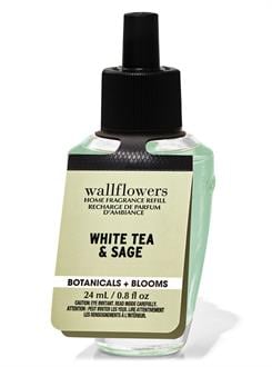 White Tea & Sage / Oda Kokusu Yedeği