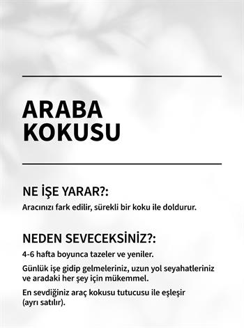 TIKI BEACH/Araba Kokusu Yedeği