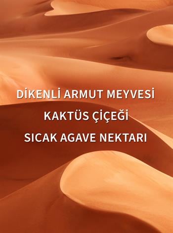 Wild Sand / Bronzlaştırıcı Vücut Köpüğü