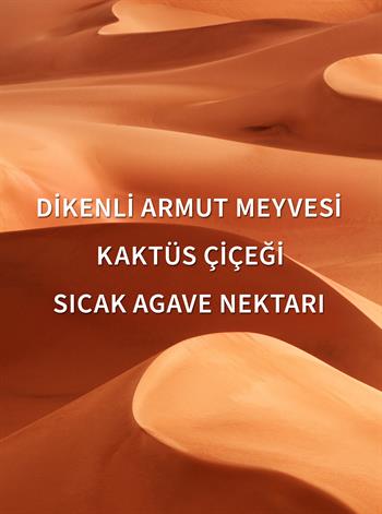 Wild Sand / Duş Jeli