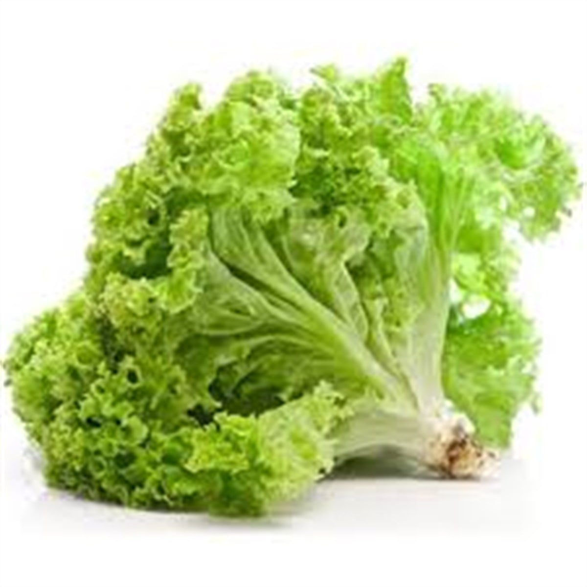 AD MARUL KIVIRCIK MARUL