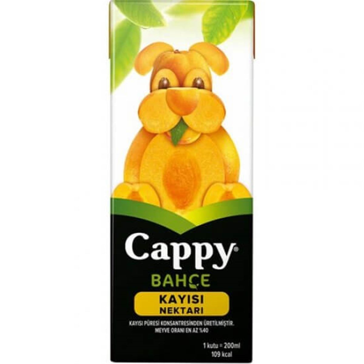 Cappy Kayısı Suyu 200ml