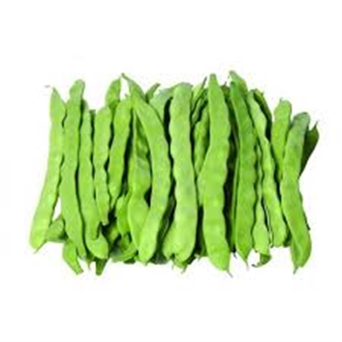 FASÜLYE SARIKIZ FASÜLYE