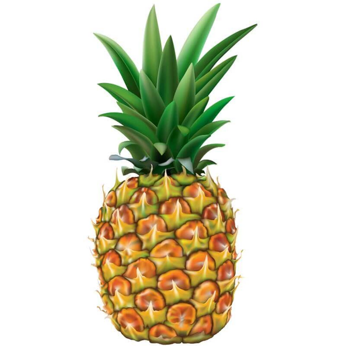 Ananas (Adet)