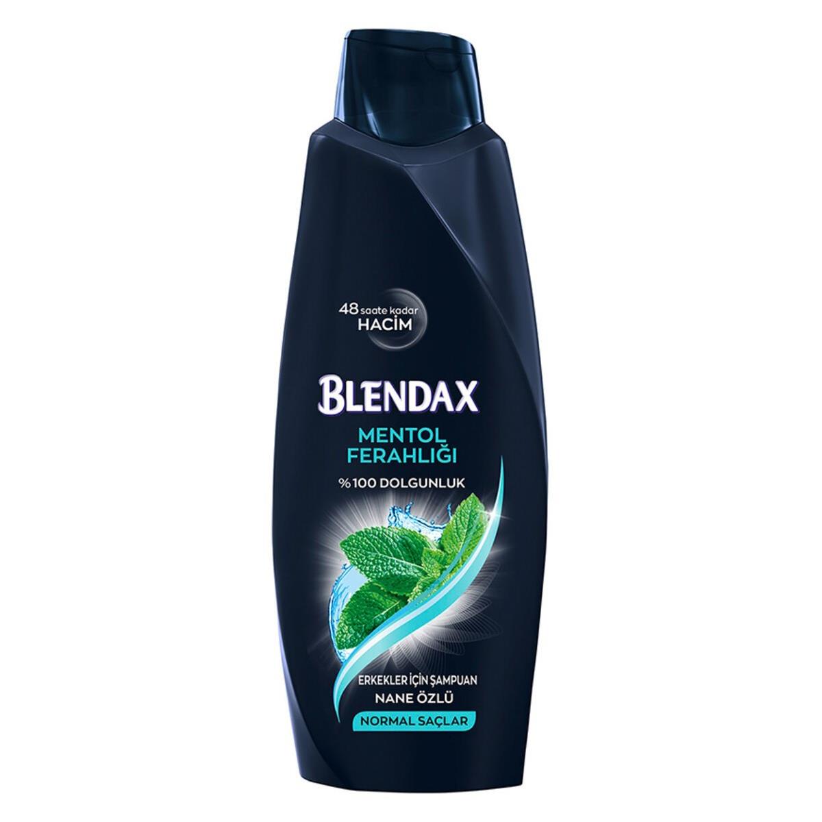 Blendax Mentöllü Şampuan 500 ml Erkekler için