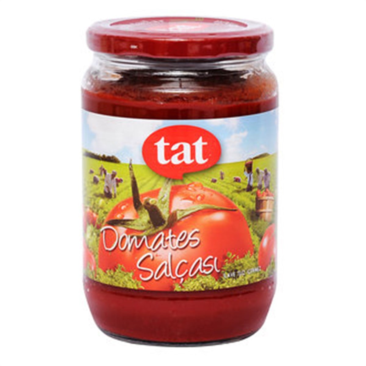TAT DOMATES SALÇASI 710 GR CAM*