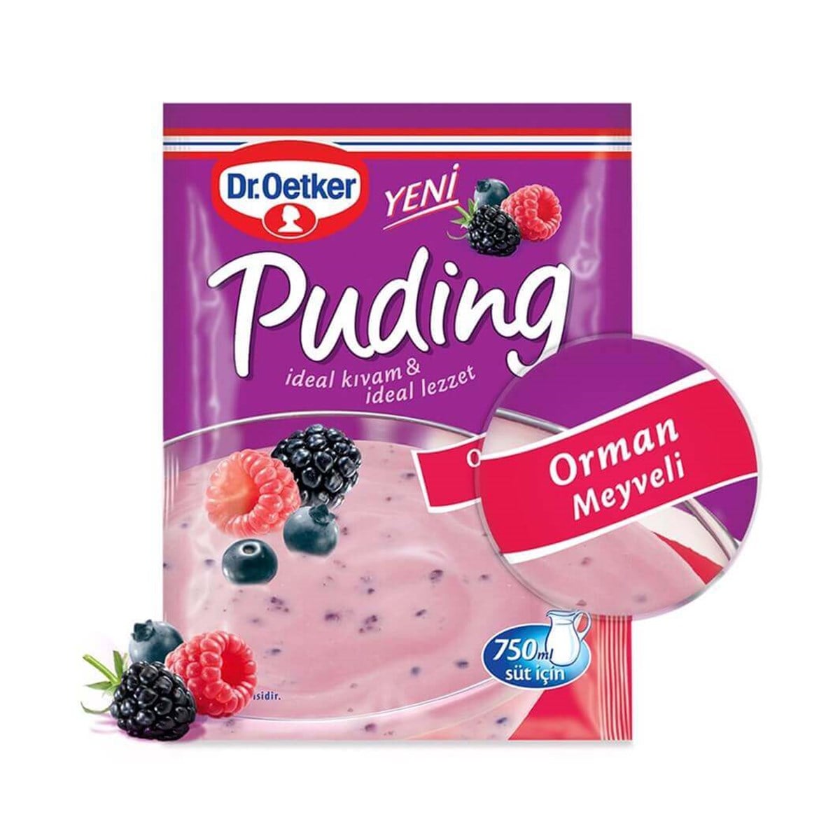 DR OETKER PUDING 81 GR ORMAN MEYVELI 12*24