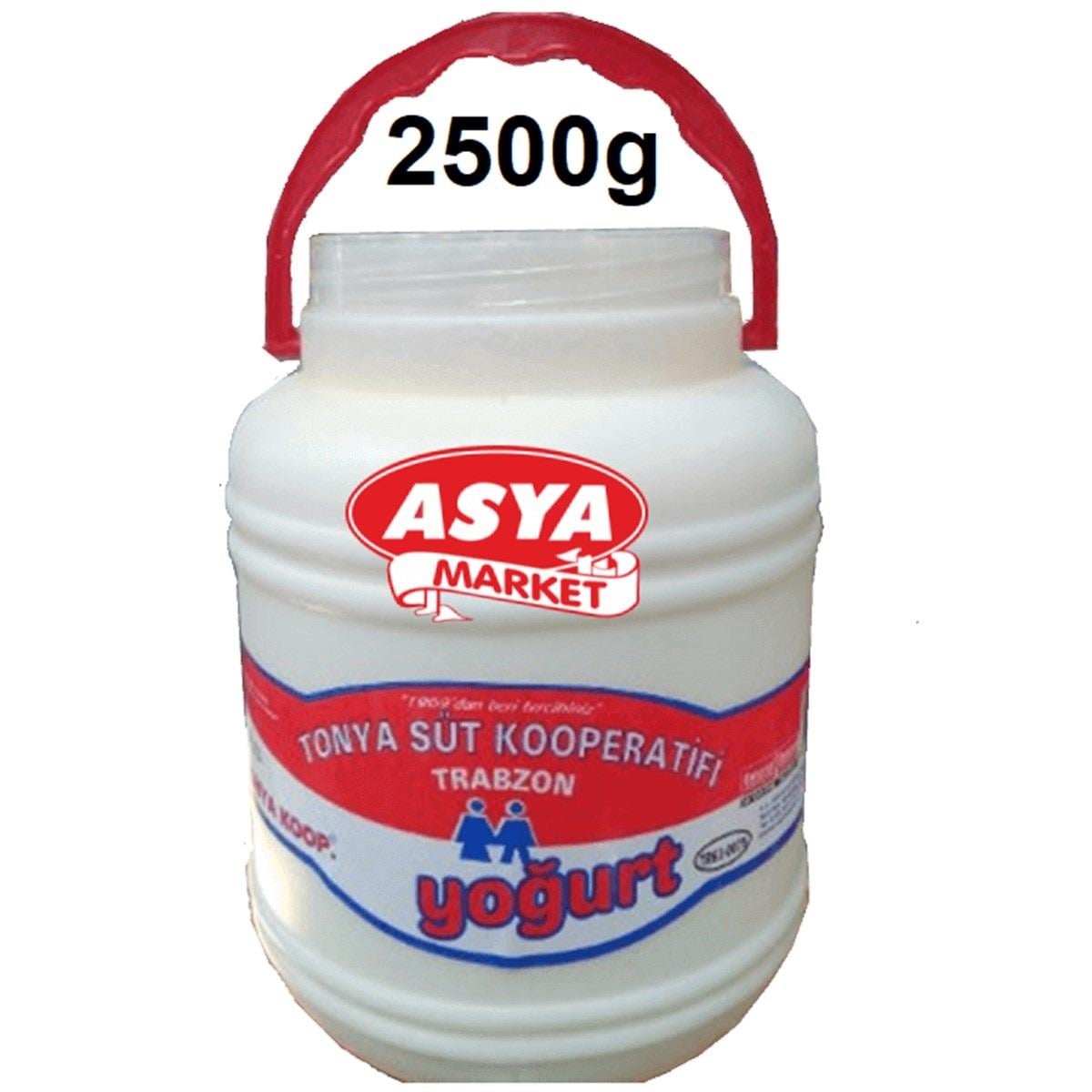 TONYA YOGURT 2500 GR BIDON