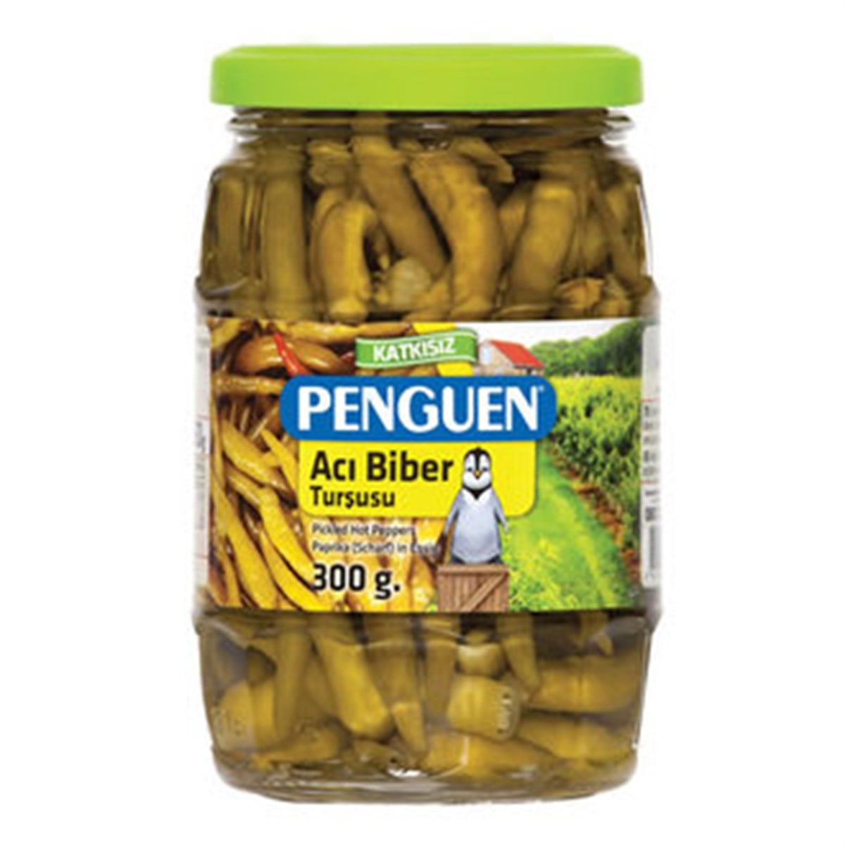PENGUEN TURSU 300 GR ACI BIBER TURSUSU