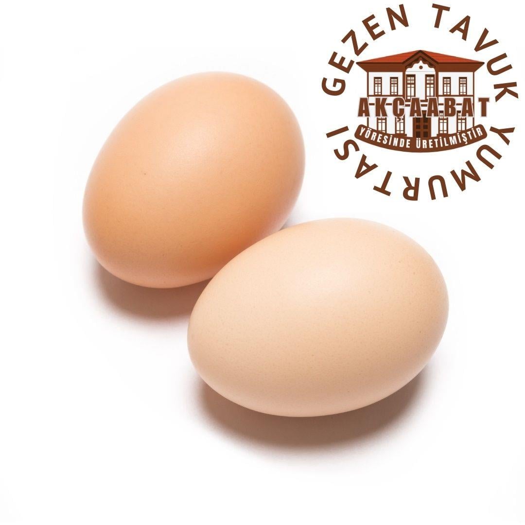 Gezen Tavuk Köy Yumurtası (Çift)