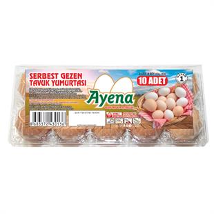 Ayena Yumurta 10 Adet Serbest Gezen Tavuk Köy Yumurtası 