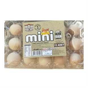 Akören Gezen Tavuk Yumurtası 15'li Paket Yumurta